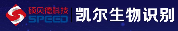 凯尔